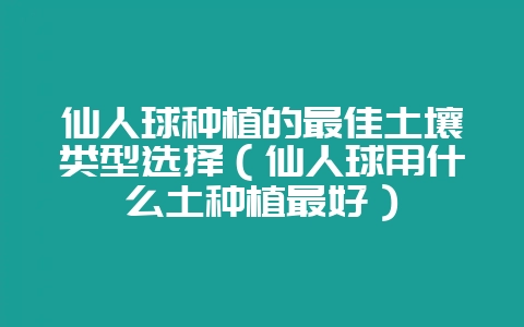 仙人球种植的最佳土壤类型选择（仙人球用什么土种植最好）-会东网