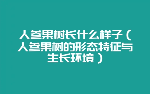 人参果树长什么样子(人参果树的形态特征与生长环境)-会东网
