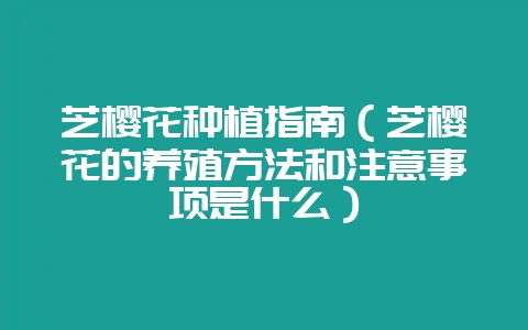 芝樱花种植指南(芝樱花的养殖方法和注意事项是什么)-会东网