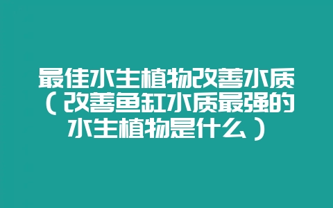 最佳水生植物改善水质(改善鱼缸水质最强的水生植物是什么)-会东网