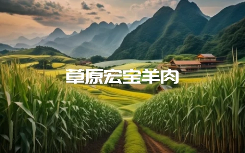 草原宏宝羊肉-会东网