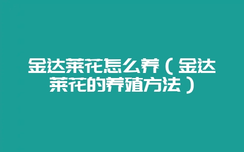 金达莱花怎么养(金达莱花的养殖方法)-会东网