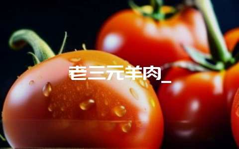 老三元羊肉_插图 老三元羊肉_插图