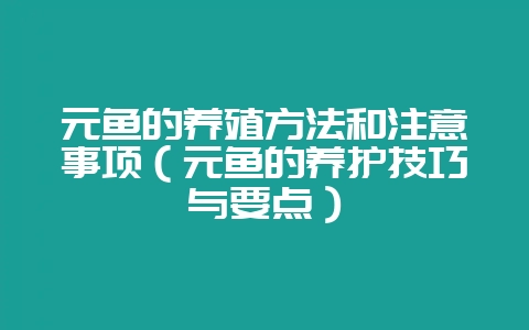 元鱼的养殖方法和注意事项(元鱼的养护技巧与要点)-会东网