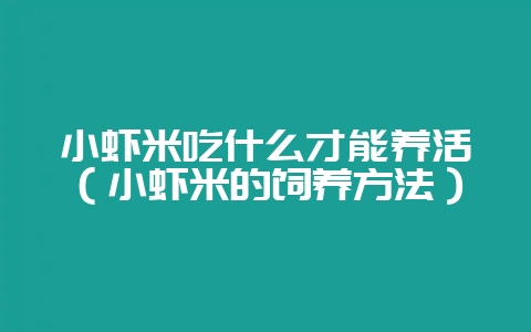 小虾米吃什么才能养活（小虾米的饲养方法）-会东网