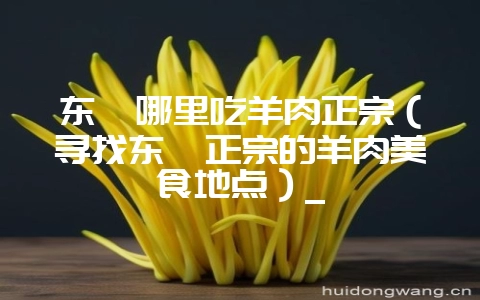 东莞哪里吃羊肉正宗（寻找东莞正宗的羊肉美食地点）_-会东网