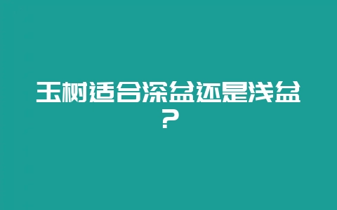 玉树适合深盆还是浅盆？-会东网