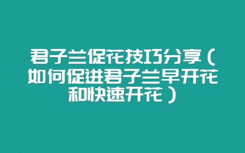 君子兰促花技巧分享（如何促进君子兰早开花和快速开花）-会东网