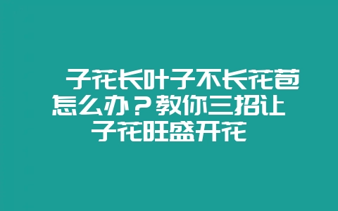 栀子花长叶子不长花苞怎么办?教你三招让栀子花旺盛开花-会东网