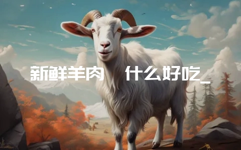 新鲜羊肉炖什么好吃_-会东网