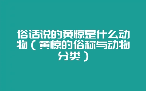 俗话说的黄惊是什么动物(黄惊的俗称与动物分类)-会东网