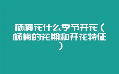 杨梅花什么季节开花（杨梅的花期和开花特征）-会东网