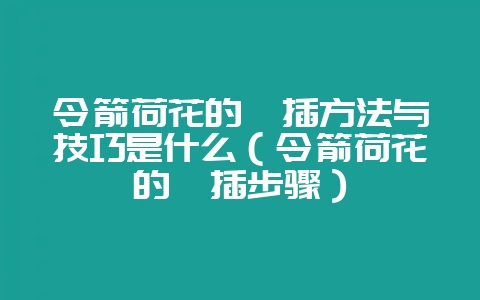 令箭荷花的扦插方法与技巧是什么(令箭荷花的扦插步骤)-会东网