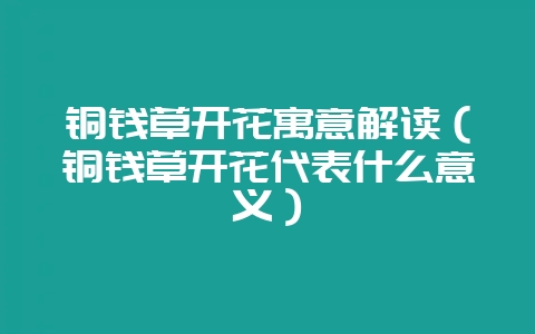 铜钱草开花寓意解读（铜钱草开花代表什么意义）-会东网