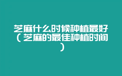 芝麻什么时候种植最好(芝麻的最佳种植时间)-会东网