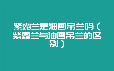 紫露兰是油画吊兰吗（紫露兰与油画吊兰的区别）-会东网
