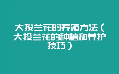 大头兰花的养殖方法（大头兰花的种植和养护技巧）-会东网
