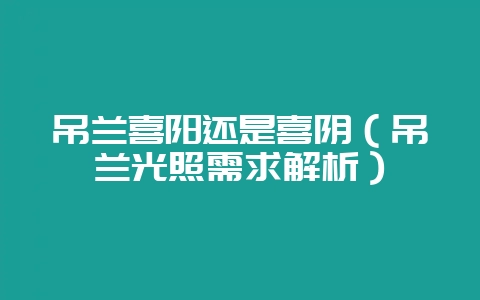 吊兰喜阳还是喜阴（吊兰光照需求解析）-会东网