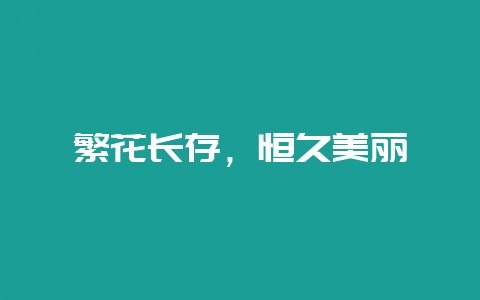 繁花长存,恒久美丽-会东网