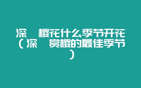 深圳樱花什么季节开花（深圳赏樱的最佳季节）-会东网