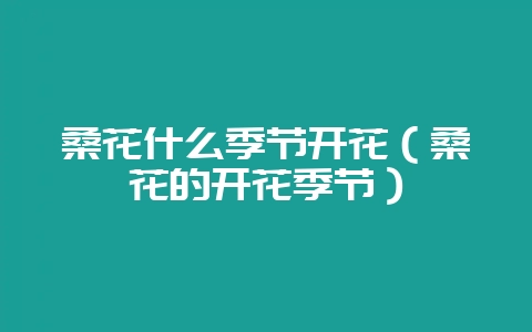 桑花什么季节开花（桑花的开花季节）-会东网