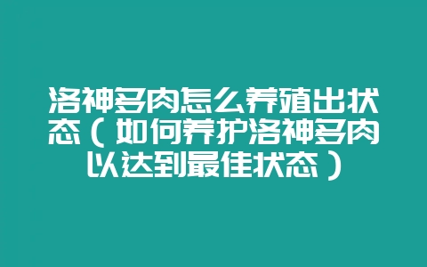 洛神多肉怎么养殖出状态(如何养护洛神多肉以达到最佳状态)-会东网