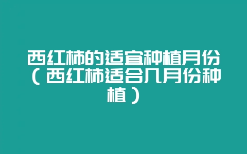 西红柿的适宜种植月份(西红柿适合几月份种植)-会东网