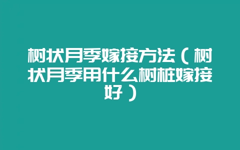 树状月季嫁接方法（树状月季用什么树桩嫁接好）-会东网