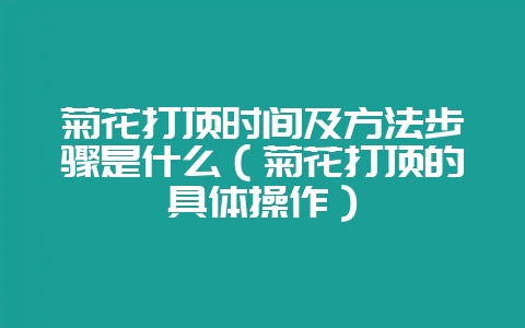菊花打顶时间及方法步骤是什么(菊花打顶的具体操作)-会东网