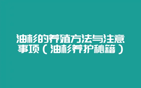 油杉的养殖方法与注意事项（油杉养护秘籍）-会东网