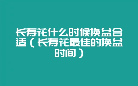 长寿花什么时候换盆合适(长寿花最佳的换盆时间)-会东网