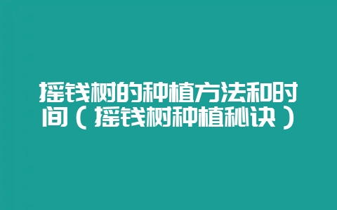 摇钱树的种植方法和时间（摇钱树种植秘诀）-会东网
