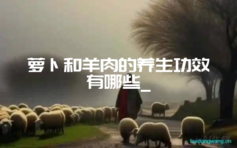 萝卜和羊肉的养生功效有哪些_-会东网