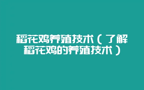 稻花鸡养殖技术(了解稻花鸡的养殖技术)-会东网