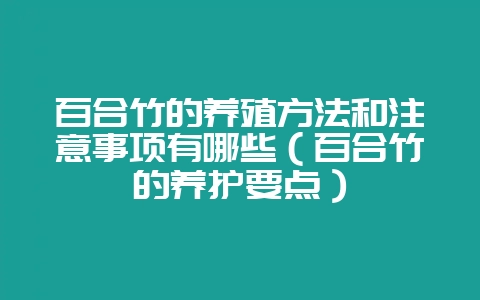 百合竹的养殖方法和注意事项有哪些（百合竹的养护要点）-会东网