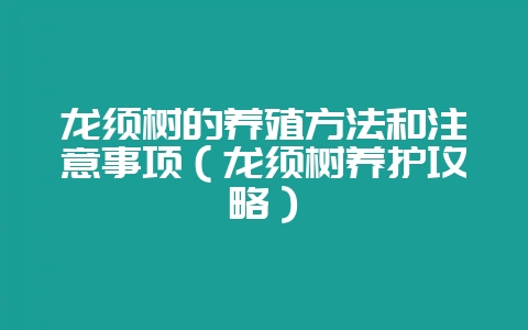 龙须树的养殖方法和注意事项（龙须树养护攻略）-会东网