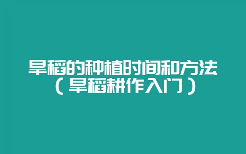旱稻的种植时间和方法（旱稻耕作入门）-会东网