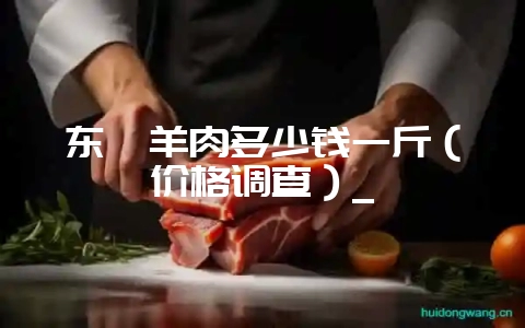 东莞羊肉多少钱一斤(价格调查)_-会东网