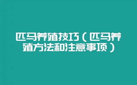 匹马养殖技巧（匹马养殖方法和注意事项）-会东网
