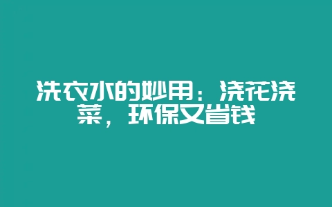 洗衣水的妙用：浇花浇菜，环保又省钱-会东网
