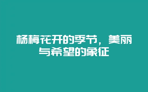 杨梅花开的季节,美丽与希望的象征-会东网