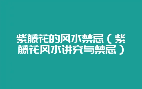 紫藤花的风水禁忌（紫藤花风水讲究与禁忌）-会东网