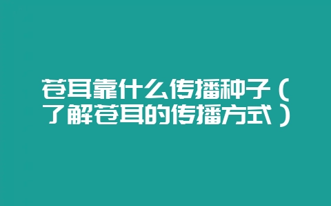 苍耳靠什么传播种子（了解苍耳的传播方式）-会东网