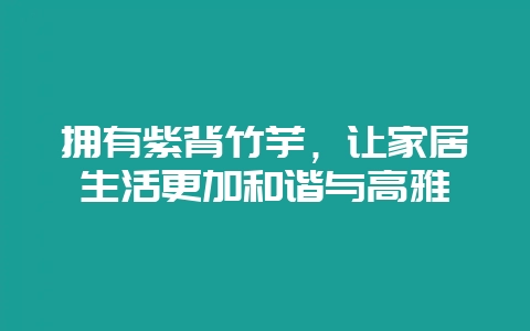 拥有紫背竹芋,让家居生活更加和谐与高雅-会东网