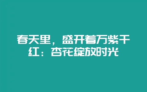 春天里，盛开着万紫千红：杏花绽放时光-会东网
