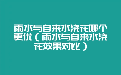 雨水与自来水浇花哪个更优（雨水与自来水浇花效果对比）-会东网