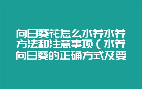 向日葵花怎么水养水养方法和注意事项（水养向日葵的正确方式及要-会东网