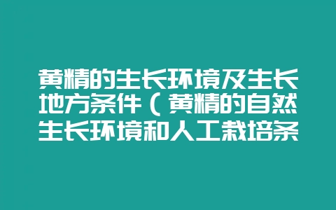 黄精的生长环境及生长地方条件（黄精的自然生长环境和人工栽培条-会东网