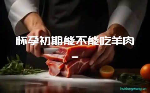 怀孕初期能不能吃羊肉_-会东网