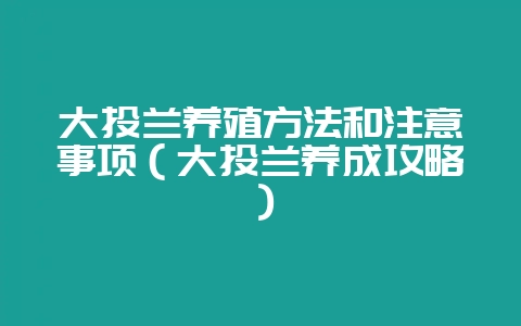 大头兰养殖方法和注意事项(大头兰养成攻略)-会东网